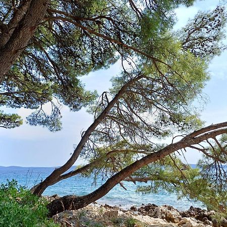 Apartments Jaksic Trogir Exterior photo