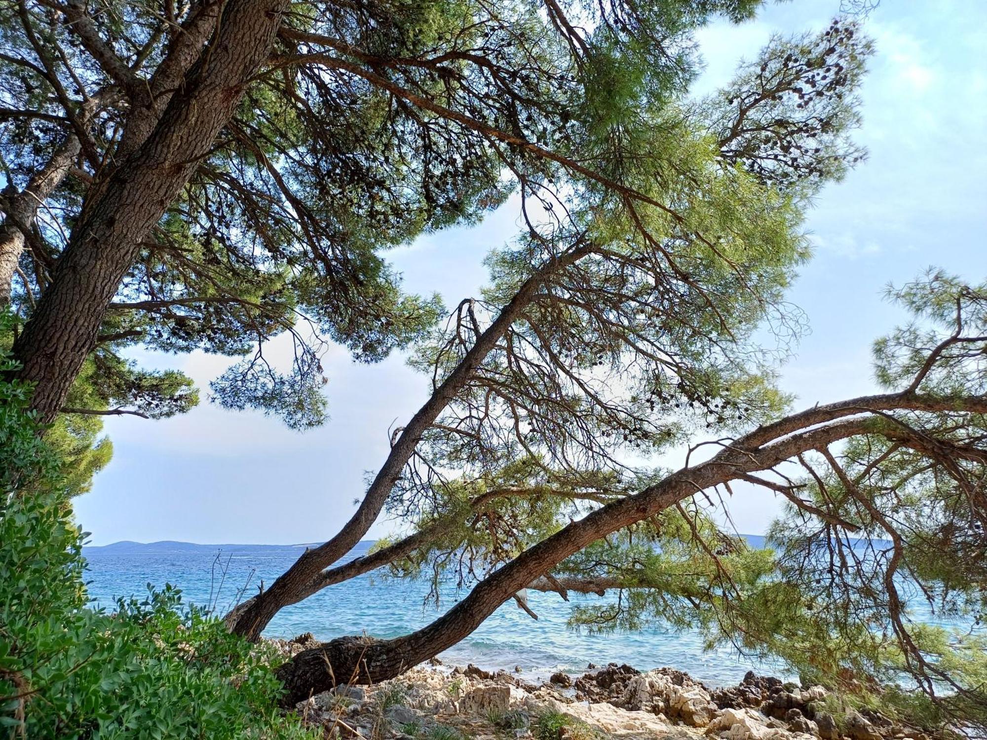 Apartments Jaksic Trogir Exterior photo